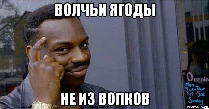 волчьи ягоды не из волков, Мем Умный Негр