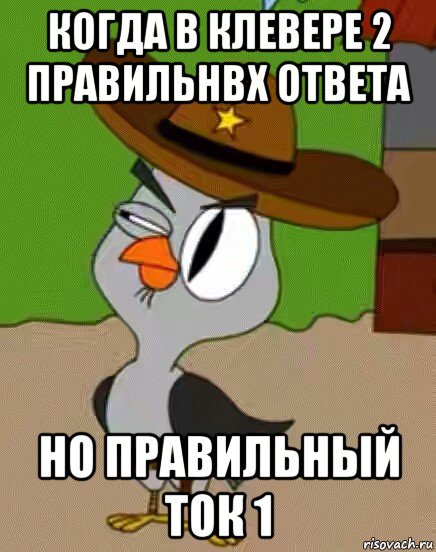 когда в клевере 2 правильнвх ответа но правильный ток 1, Мем    Упоротая сова