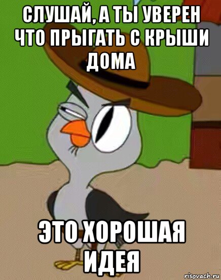 слушай, а ты уверен что прыгать с крыши дома это хорошая идея, Мем    Упоротая сова