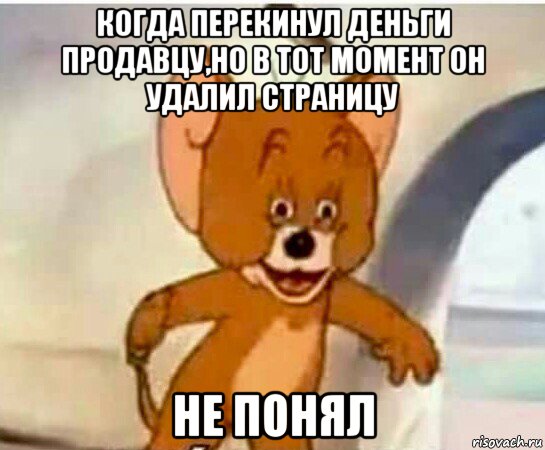 когда перекинул деньги продавцу,но в тот момент он удалил страницу не понял, Мем Упоротый джерри