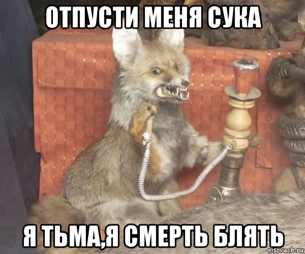 отпусти меня сука я тьма,я смерть блять