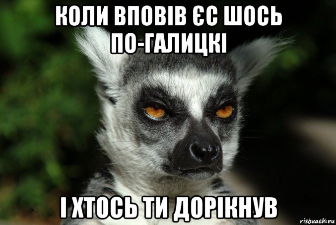 коли вповів єс шось по-галицкі і хтось ти дорікнув