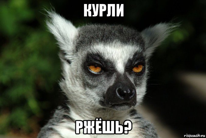 курли ржёшь?