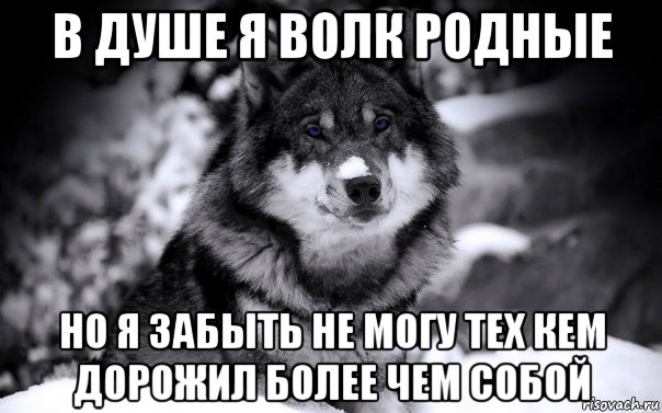 в душе я волк родные но я забыть не могу тех кем дорожил более чем собой, Мем ВОЛК