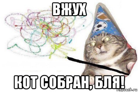 вжух кот собран, бля!, Мем Вжух мем