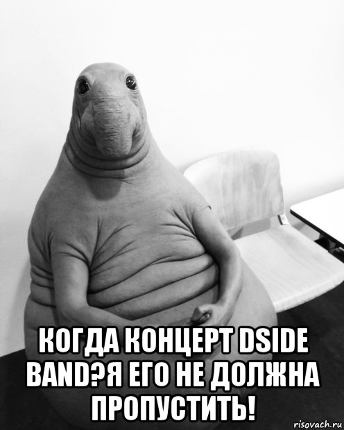  когда концерт dside band?я его не должна пропустить!, Мем  Ждун