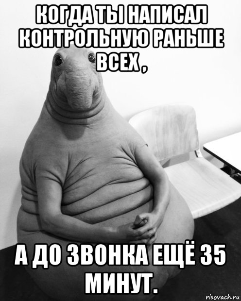 когда ты написал контрольную раньше всех , а до звонка ещё 35 минут., Мем  Ждун