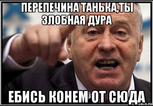 перепечина танька,ты злобная дура ебись конем от сюда, Мем жириновский ты