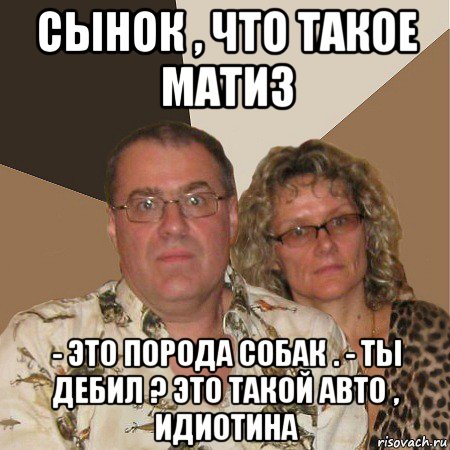 сынок , что такое матиз - это порода собак . - ты дебил ? это такой авто , идиотина, Мем  Злые родители