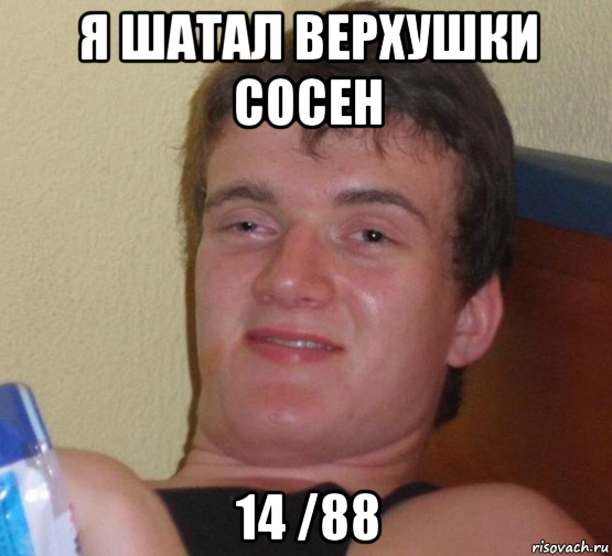 я шатал верхушки сосен 14 /88, Мем 10 guy (Stoner Stanley really high guy укуренный парень)