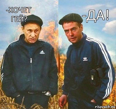 -ДА! -ХОЧЕТ ГЕЙ?, Комикс Вова и Дима