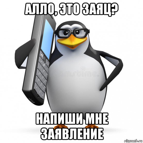 алло, это заяц? напиши мне заявление, Мем  88005553535