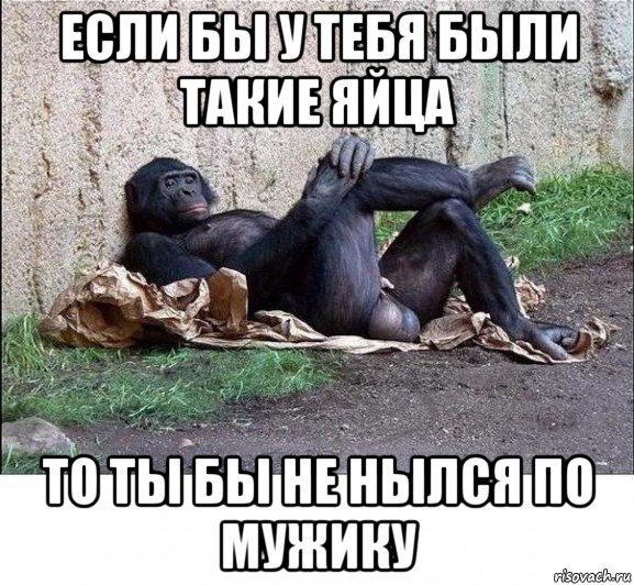 если бы у тебя были такие яйца то ты бы не нылся по мужику