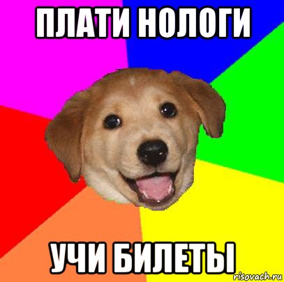 плати нологи учи билеты, Мем Advice Dog