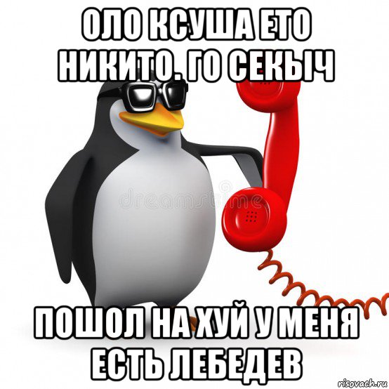 оло ксуша ето никито. го секыч пошол на хуй у меня есть лебедев, Мем  Ало