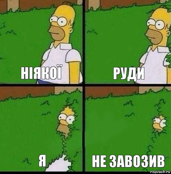 ніякої руди я не завозив, Комикс Гомер спрятался в кусты