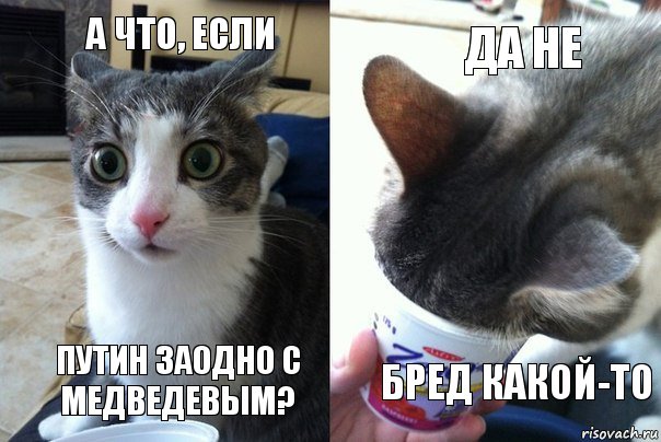 А что, если Путин заодно с Медведевым? ДА НЕ Бред какой-то, Комикс  Да не бред какой-то (4 зоны)