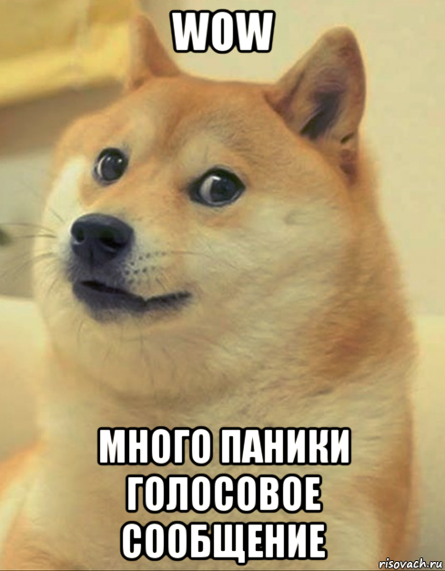 wow много паники голосовое сообщение, Мем doge woof