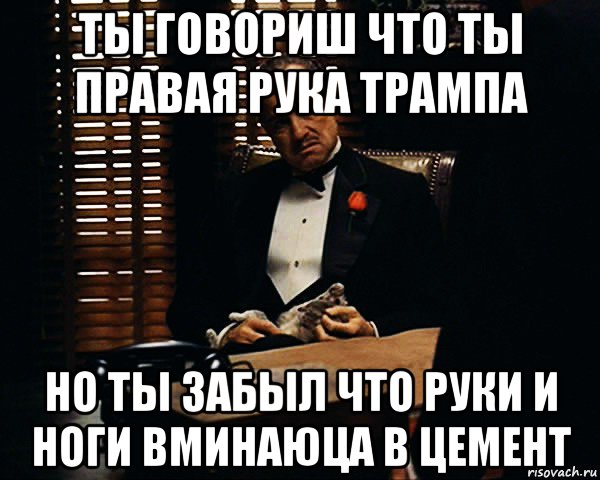 ты говориш что ты правая рука трампа но ты забыл что руки и ноги вминаюца в цемент, Мем Дон Вито Корлеоне