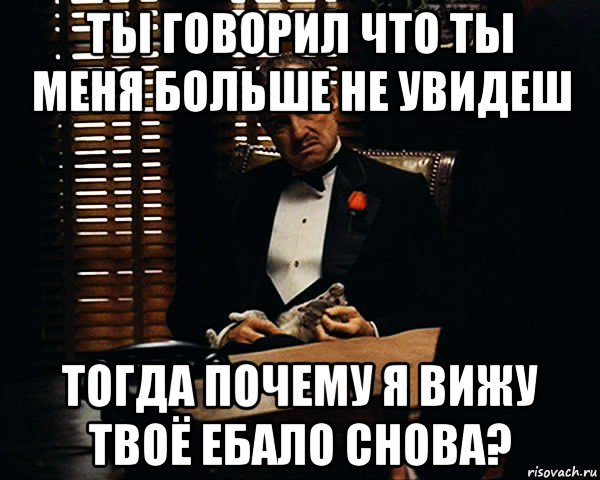 ты говорил что ты меня больше не увидеш тогда почему я вижу твоё ебало снова?