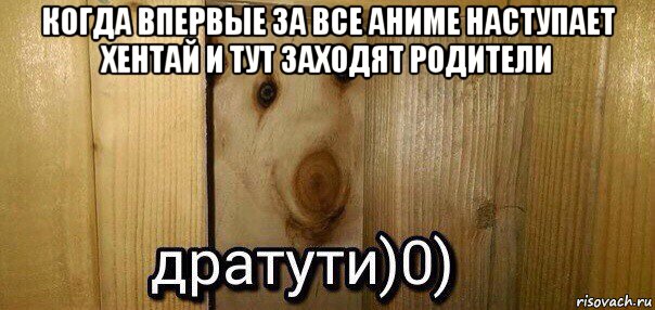 когда впервые за все аниме наступает хентай и тут заходят родители , Мем  Дратути