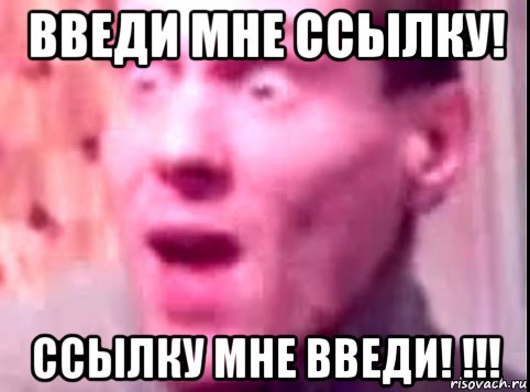 введи мне ссылку! ссылку мне введи! !!!, Мем Дверь мне запили