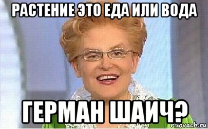 растение это еда или вода герман шаич?, Мем Это норма