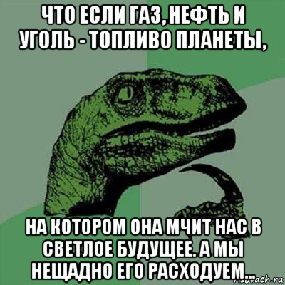 что если газ, нефть и уголь - топливо планеты, на котором она мчит нас в светлое будущее. а мы нещадно его расходуем..., Мем Филосораптор