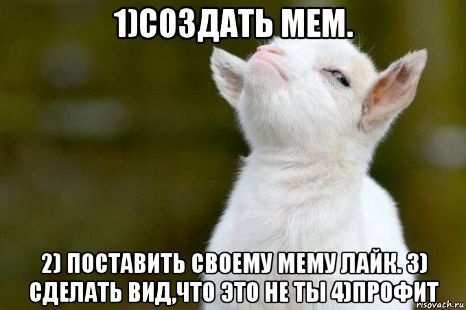 1)создать мем. 2) поставить своему мему лайк. 3) сделать вид,что это не ты 4)профит, Мем  Гордый козленок