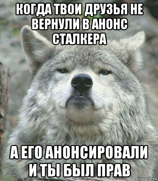 когда твои друзья не вернули в анонс сталкера а его анонсировали и ты был прав, Мем    Гордый волк