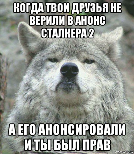 когда твои друзья не верили в анонс сталкера 2 а его анонсировали и ты был прав, Мем    Гордый волк