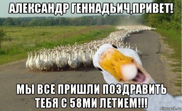 александр геннадьич,привет! мы все пришли поздравить тебя с 58ми летием!!!, Мем гуси