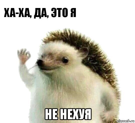  не нехуя, Мем Ха-ха да это я