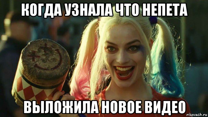 когда узнала что непета выложила новое видео, Мем    Harley quinn