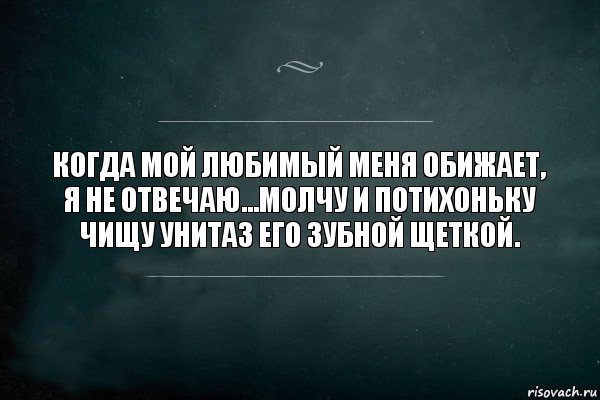 Когда мой любимый меня обижает, я не отвечаю...Молчу и потихоньку чищу унитаз его зубной щеткой., Комикс Игра Слов