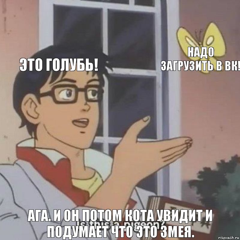 Это голубь! Надо загрузить в вк! Ага. И он потом кота увидит и подумает что это змея., Комикс  Is this