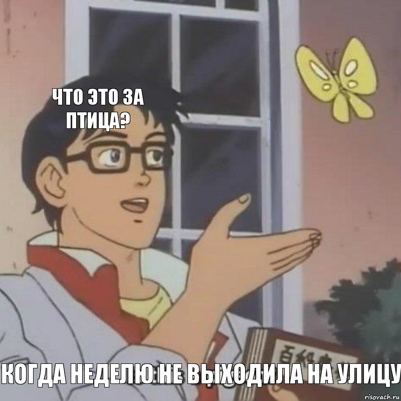 Что это за птица?  Когда неделю не выходила на улицу, Комикс  Is this