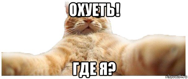 охуеть! где я?, Мем   Кэтсвилл