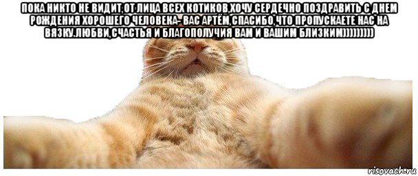 пока никто не видит,от лица всех котиков,хочу сердечно поздравить с днем рождения хорошего человека- вас артём,спасибо,что пропускаете нас на вязку.любви,счастья и благополучия вам и вашим близким))))))))) , Мем   Кэтсвилл