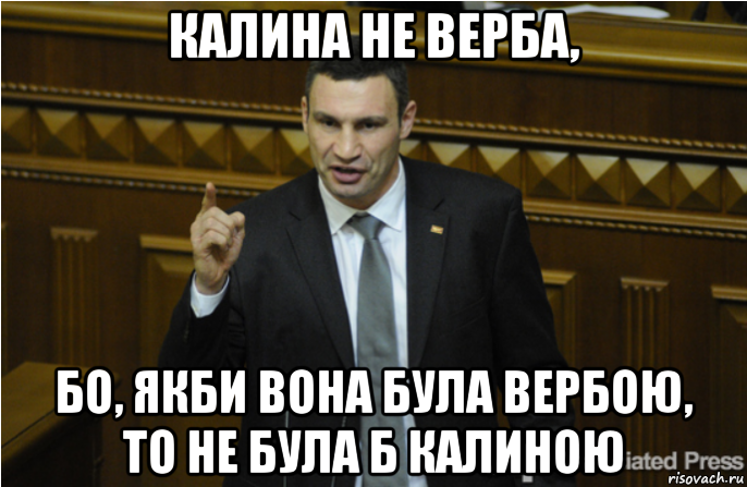 калина не верба, бо, якби вона була вербою, то не була б калиною, Мем кличко философ