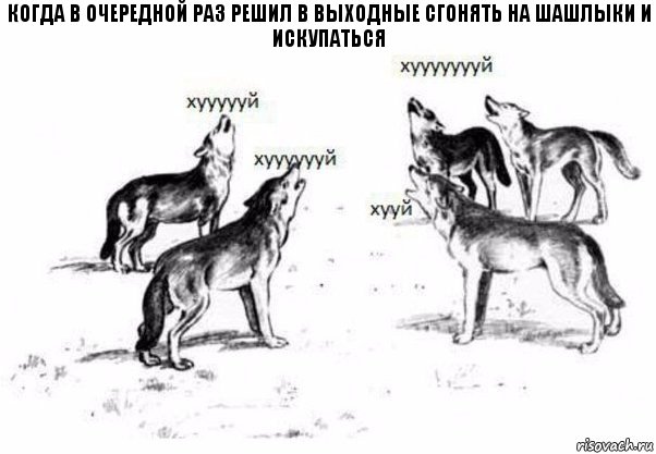 Когда в очередной раз решил в выходные сгонять на шашлыки и искупаться, Комикс Когда хочешь