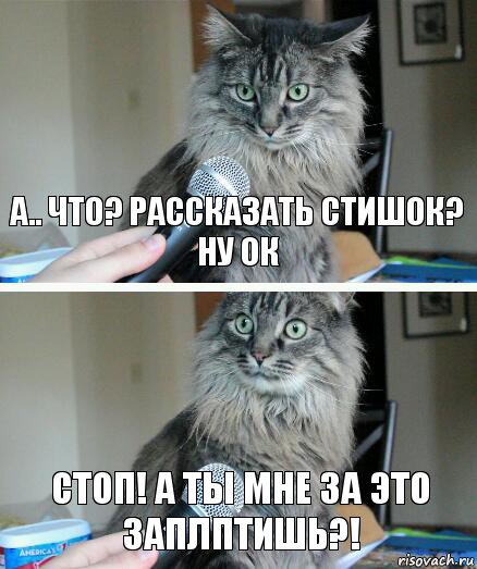 А.. Что? Рассказать стишок? Ну ок Стоп! А ты мне за это заплптишь?!, Комикс  кот с микрофоном