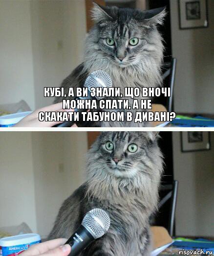 Кубі, а ви знали, що вночі
можна спати, а не
скакати табуном в дивані? , Комикс  кот с микрофоном