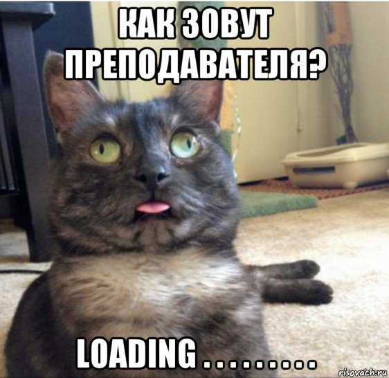 как зовут преподавателя? loading . . . . . . . . ., Мем   Кот завис