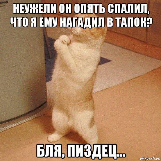 неужели он опять спалил, что я ему нагадил в тапок? бля, пиздец..., Мем  котэ молится