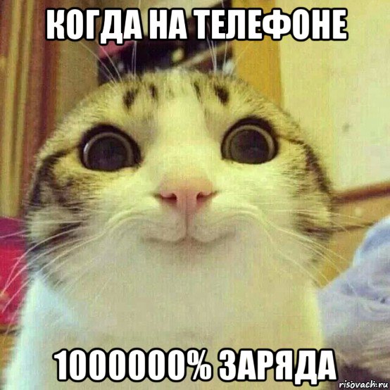 когда на телефоне 1000000% заряда, Мем       Котяка-улыбака