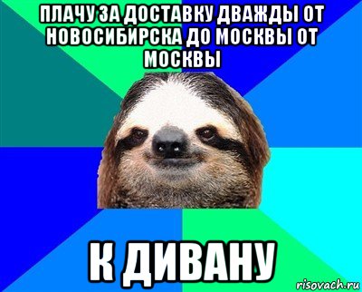 плачу за доставку дважды от новосибирска до москвы от москвы к дивану, Мем Ленивец