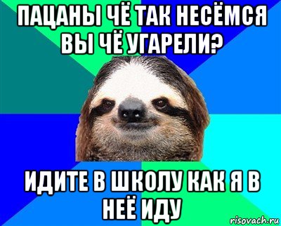 пацаны чё так несёмся вы чё угарели? идите в школу как я в неё иду, Мем Ленивец