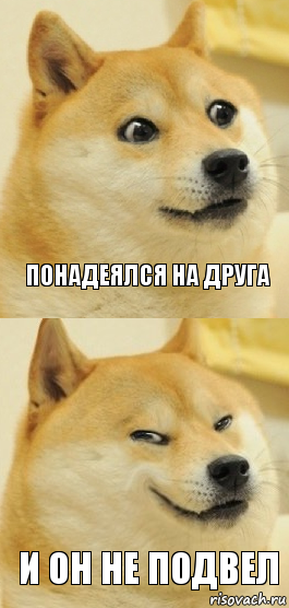 Понадеялся на друга И он не подвел, Комикс   DOGE довольный