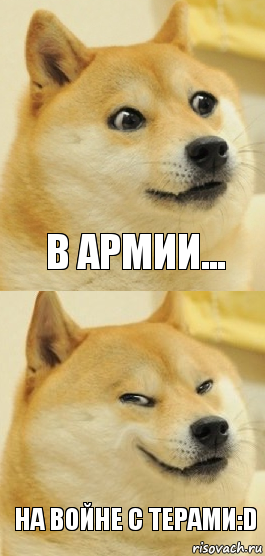 в армии... на войне с терами:D, Комикс   DOGE довольный